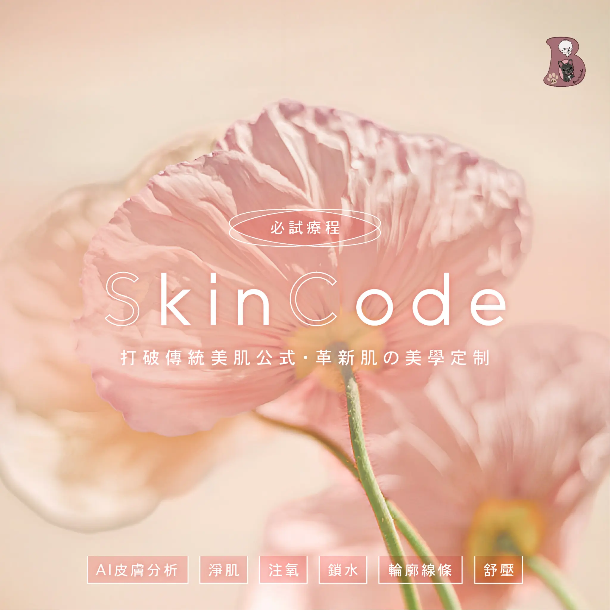 Skin Code 療程介紹 1
